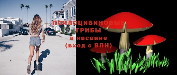 стафф Инсар